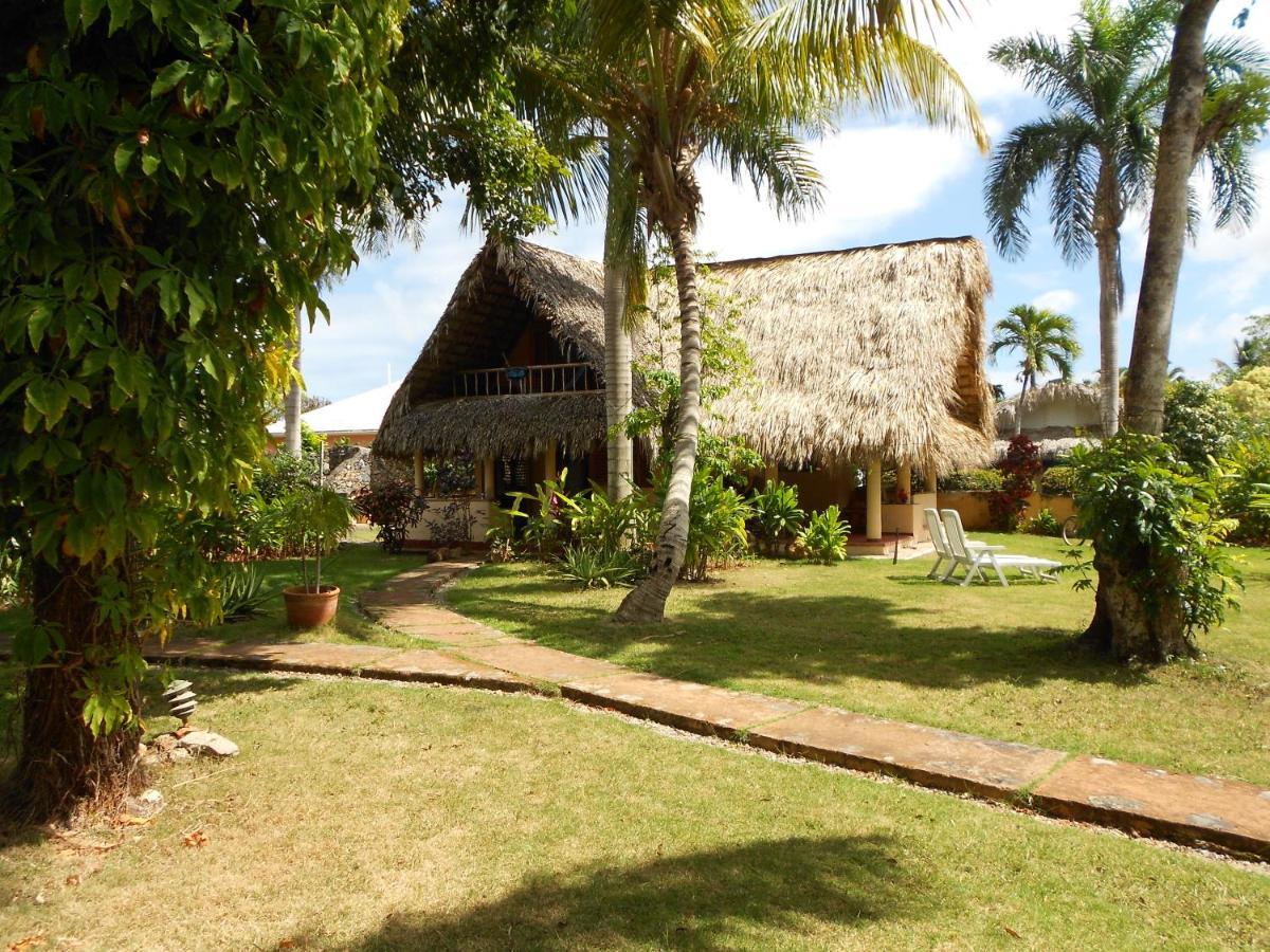 Palm-Covered House In The Tropical -Casa Oli Las Galeras Ngoại thất bức ảnh