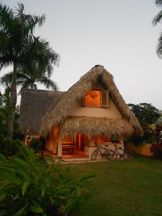 Palm-Covered House In The Tropical -Casa Oli Las Galeras Ngoại thất bức ảnh
