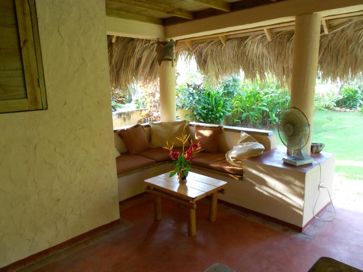 Palm-Covered House In The Tropical -Casa Oli Las Galeras Ngoại thất bức ảnh