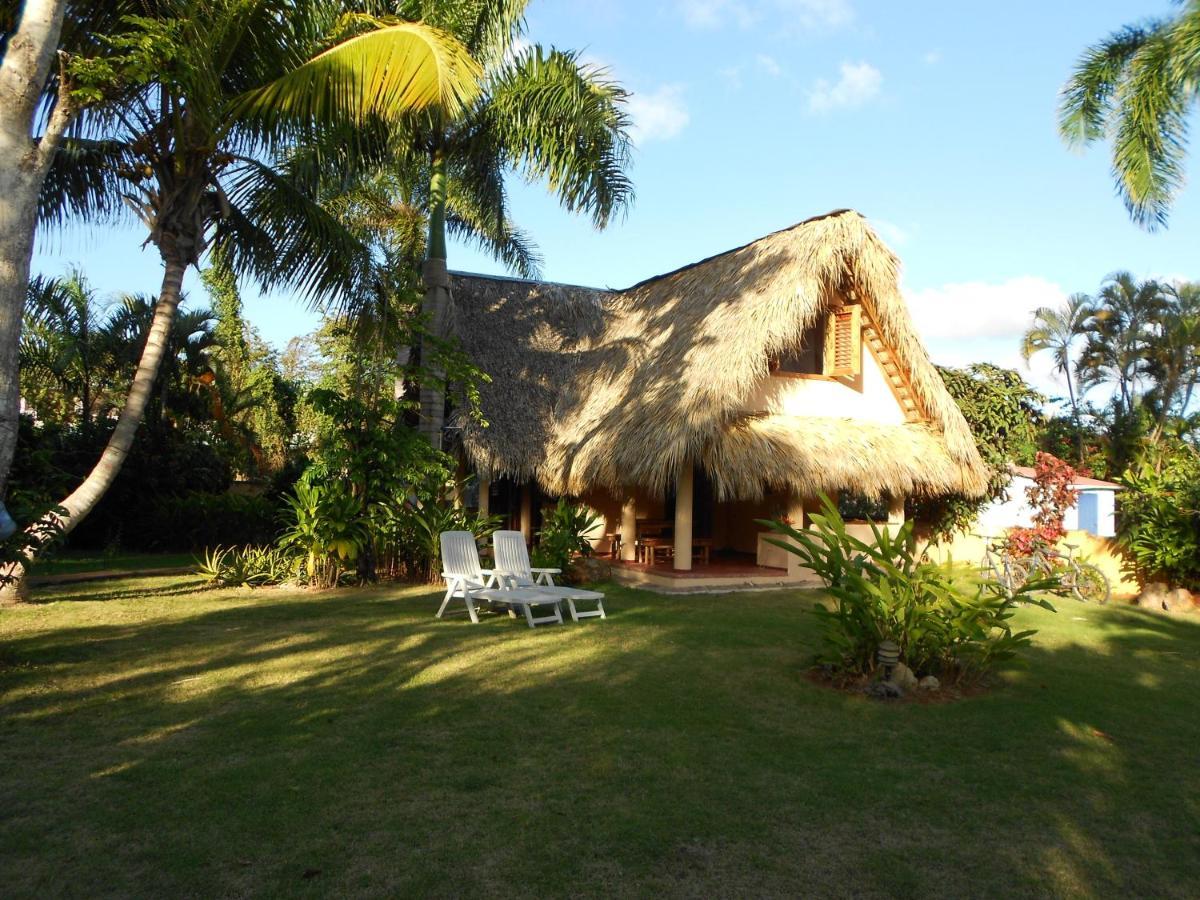 Palm-Covered House In The Tropical -Casa Oli Las Galeras Ngoại thất bức ảnh