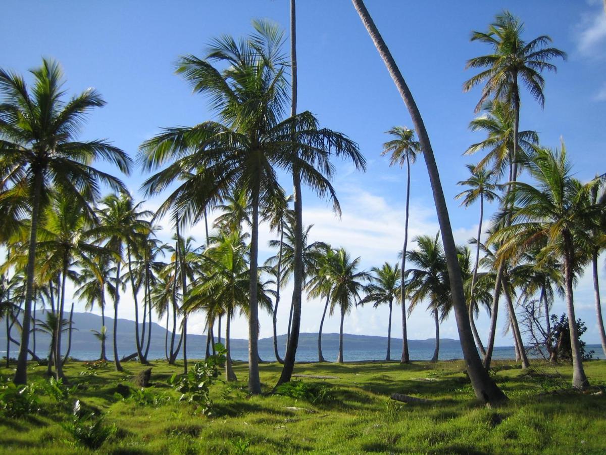 Palm-Covered House In The Tropical -Casa Oli Las Galeras Ngoại thất bức ảnh