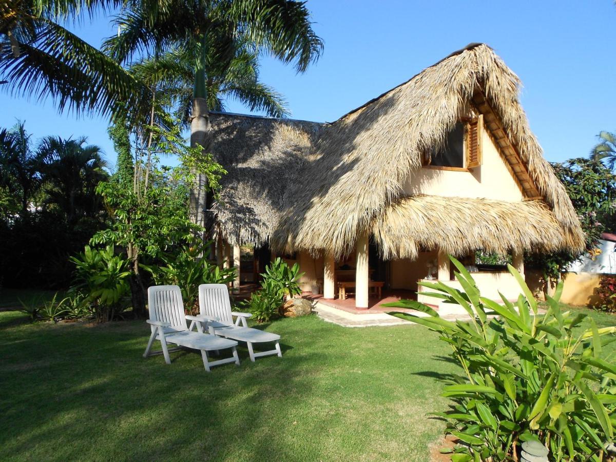 Palm-Covered House In The Tropical -Casa Oli Las Galeras Ngoại thất bức ảnh